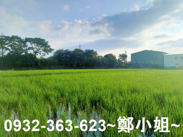 八德農地-5