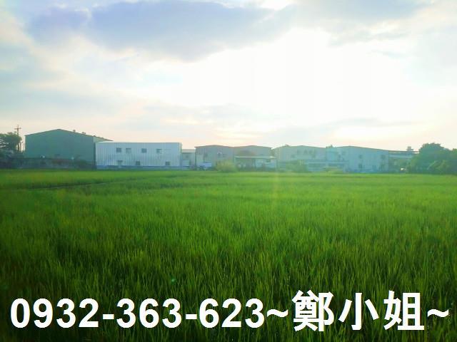 八德農地-7
