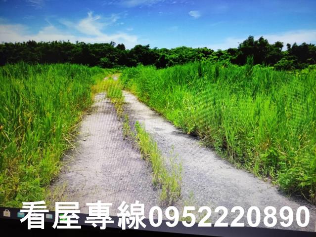 宜蘭壯圍農地-2