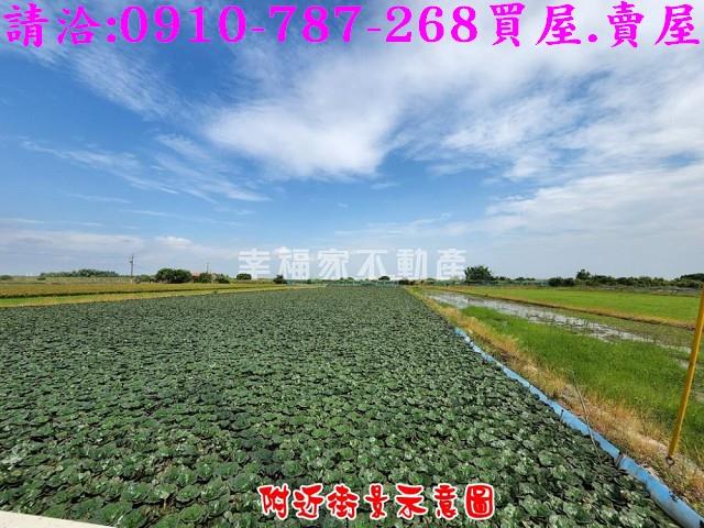 柳營農地-4