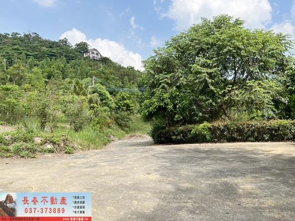 頭屋農地-1