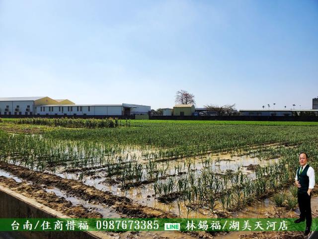 佳里農地-2