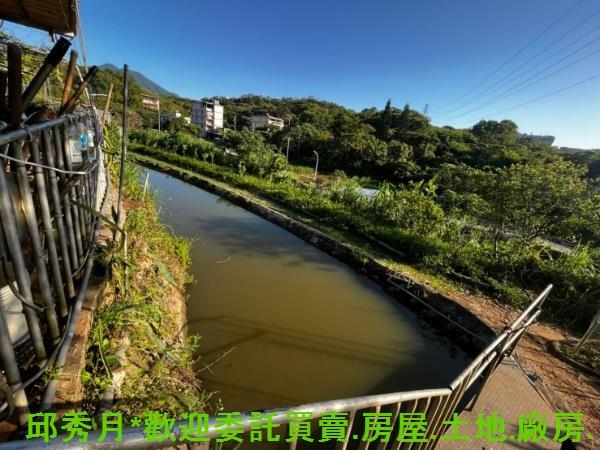 淡水農地-10