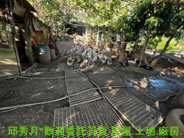 淡水農地-5