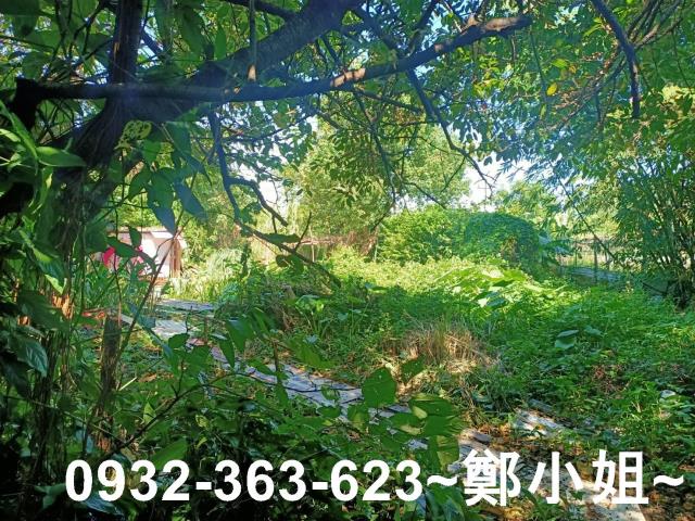 桃園桃園區農地-7