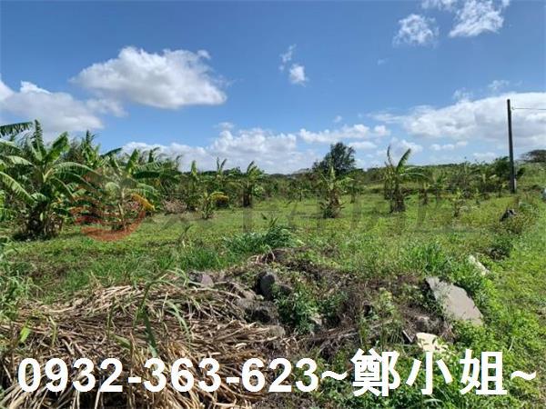 觀音交通用地-6