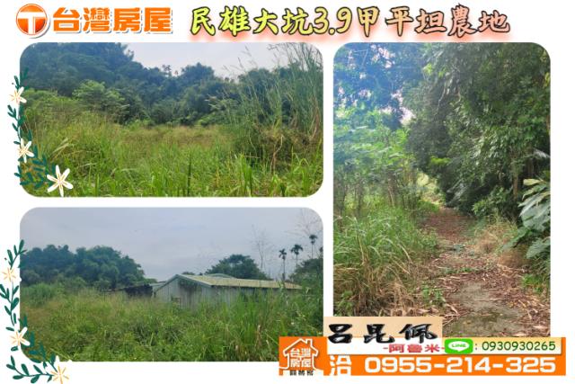 民雄農地-0
