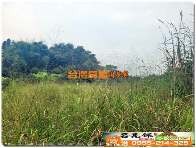 民雄農地-1