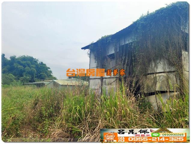 民雄農地-2