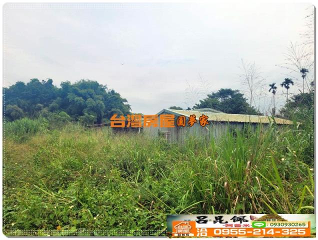 民雄農地-3