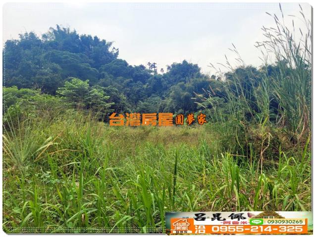 民雄農地-4