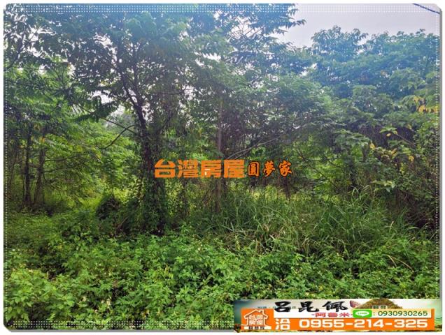 民雄農地-5