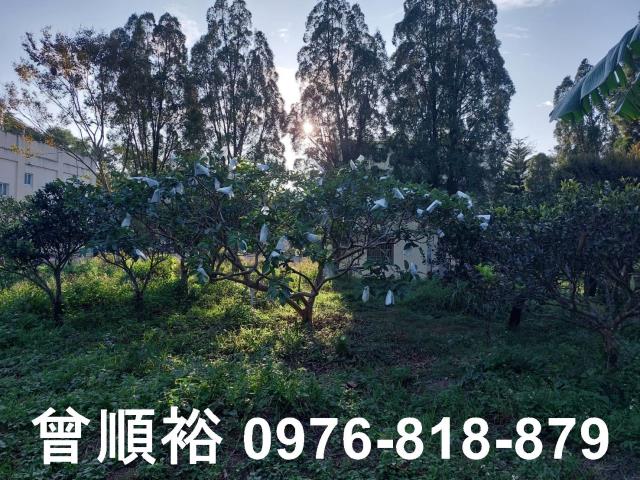 橫山農地-7