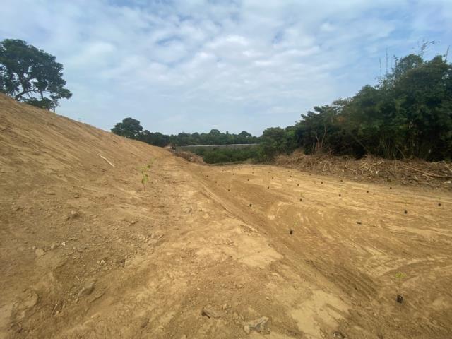 台南大內農地-6