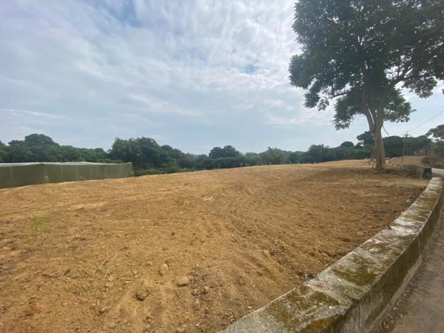 台南大內農地-0