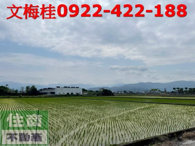 宜蘭三星農地-3