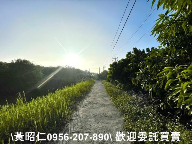 安南農地-5