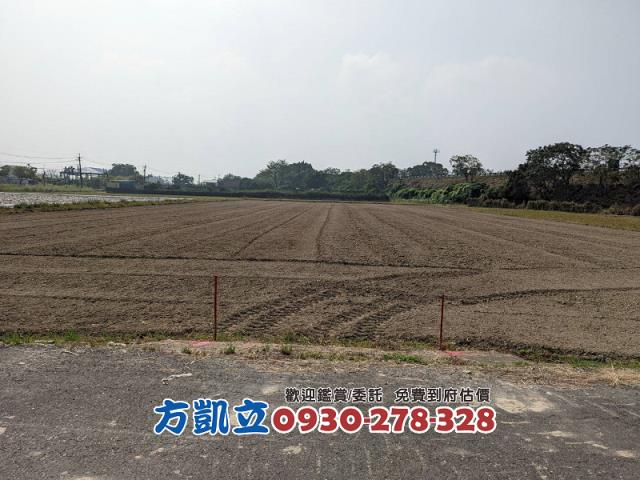 台南官田農地-8