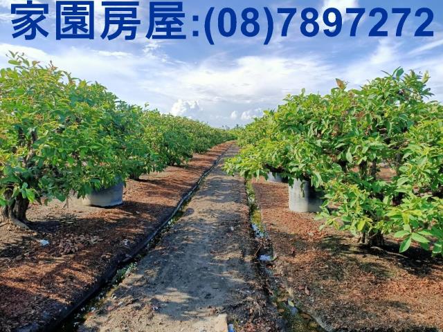 南州農地-1