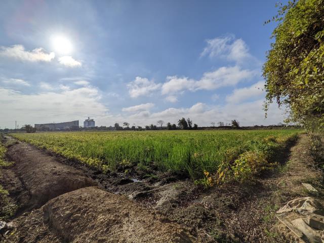 新屋農地-2