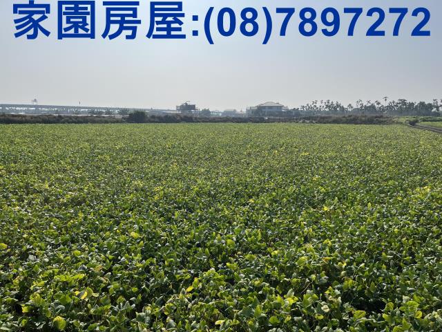 屏東潮州農地-3