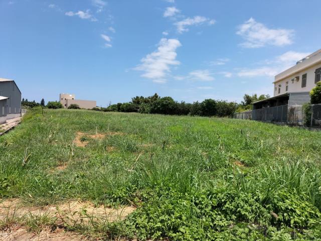 桃園新屋農地-1