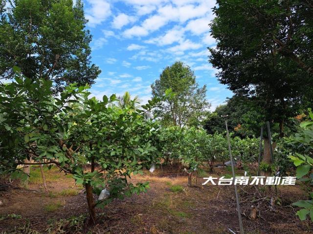 台南農地-12