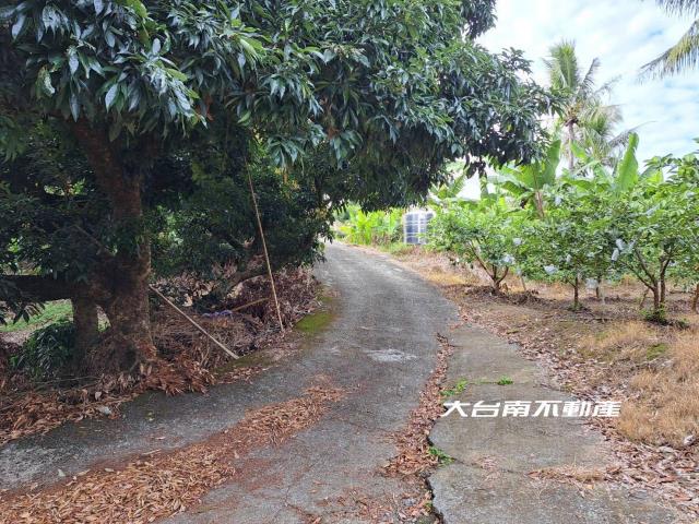 台南農地-6