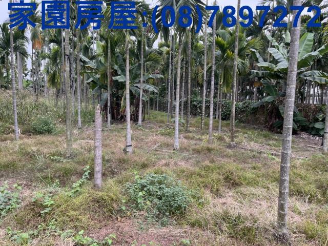 屏東萬丹農地-1