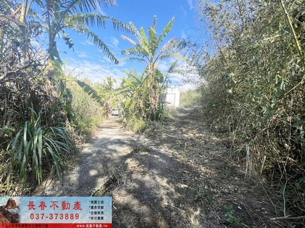 大湖農地-4