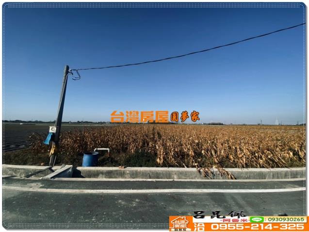 水林農地-1