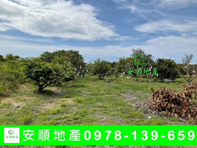 台東台東市農地-2