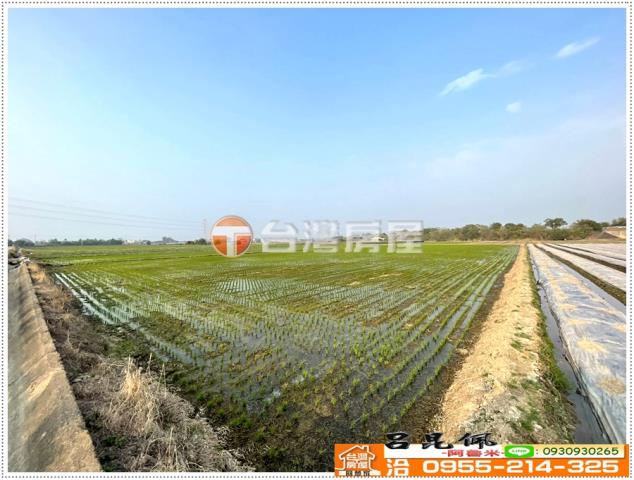 白河農地-3