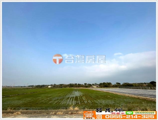 白河農地-4