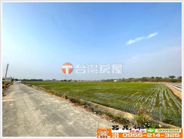 白河農地-5