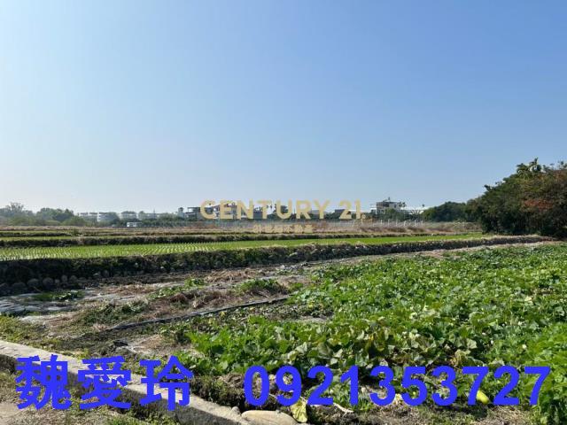草屯農地-0