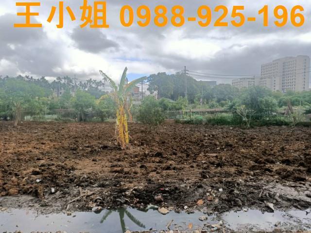 桃園區農地-5