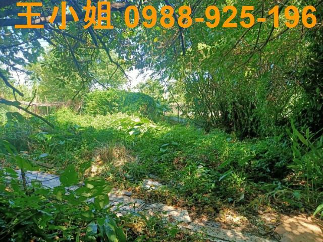 桃園區農地-3