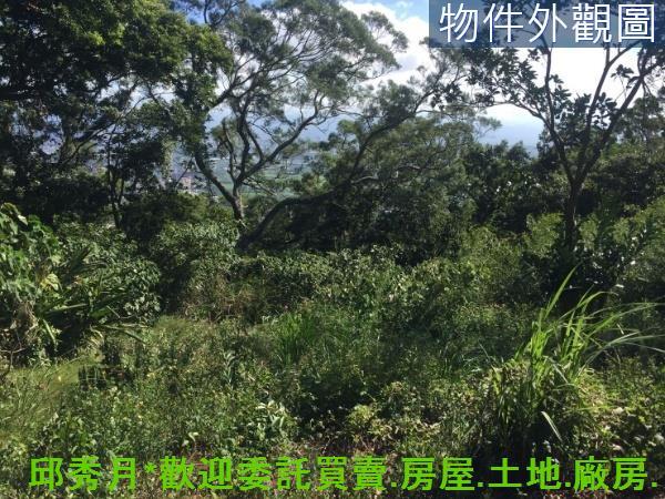 台北北投空百-9