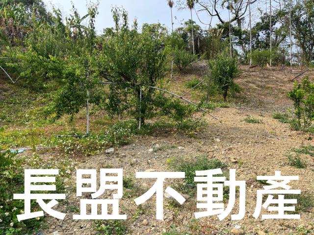 東勢休閒地-8
