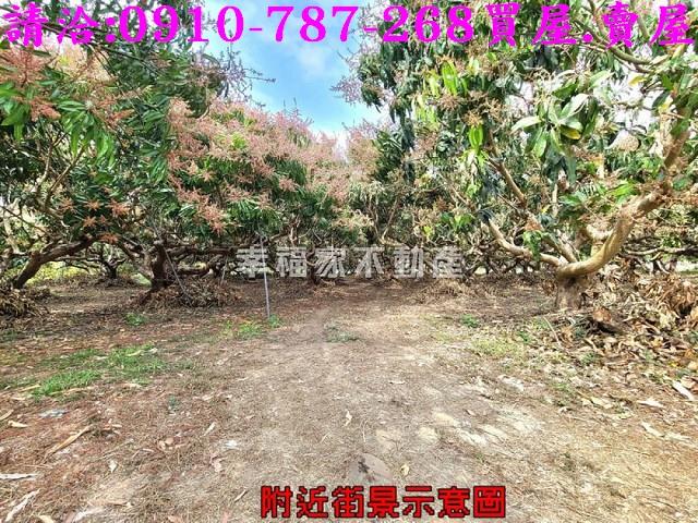 台南玉井農地-4