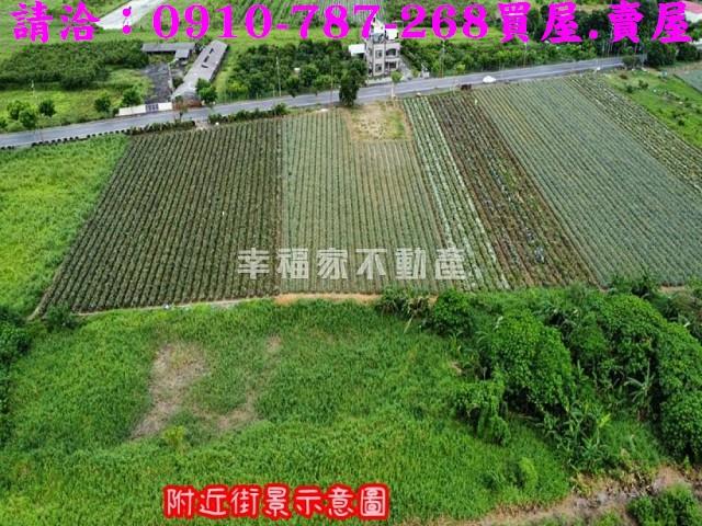 台南山上農地-9