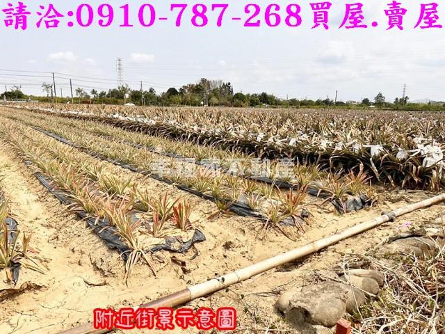 台南山上農地-3