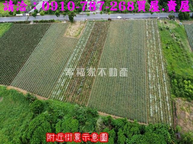 台南山上農地-4