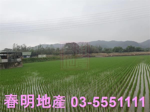 新竹新埔農地-4