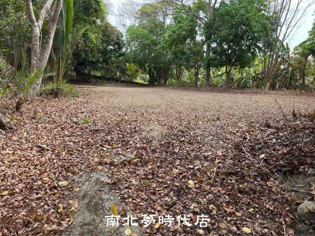台南左鎮農地建地-3
