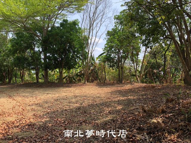 台南左鎮農地建地-5