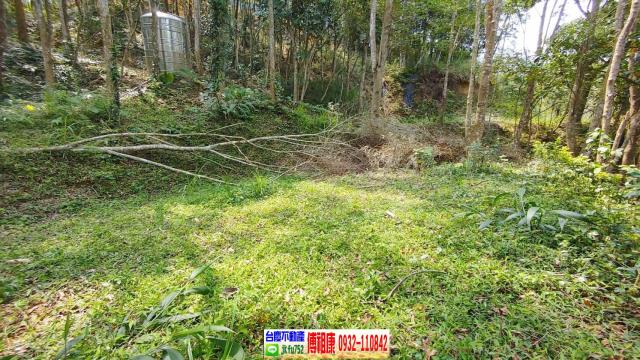 新竹北埔山坡地-12