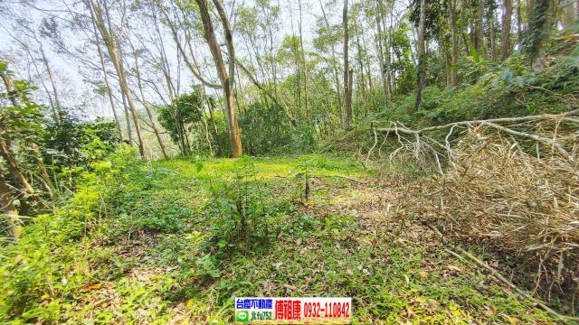 新竹北埔山坡地-13