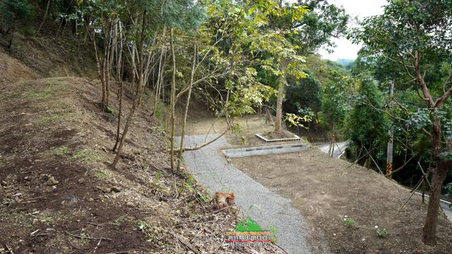 新竹北埔農地-13